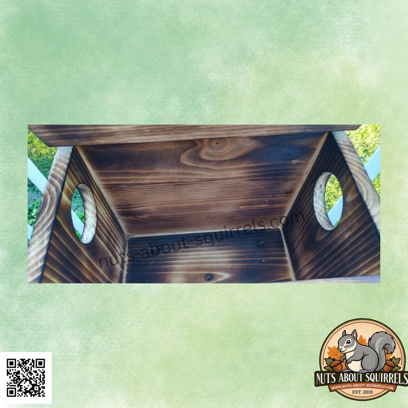 Covered Squirrel Feeder