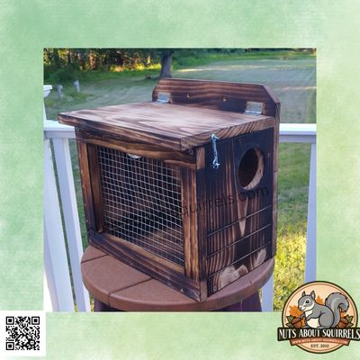 Covered Squirrel Feeder