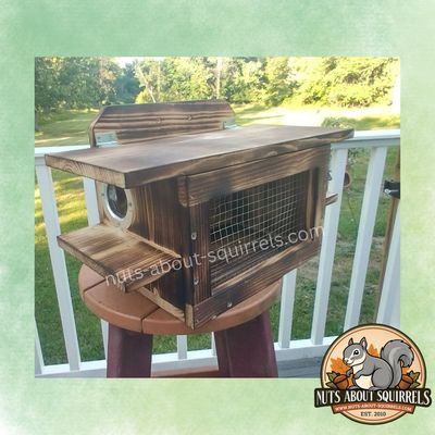 Covered Red Squirrel Feeder:FSC Scorched Pine