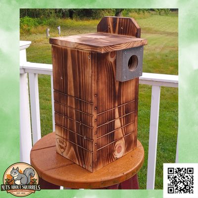 Wildlife Rehab Approved Red Squirrel Nest Box – FSC Pine Shelter with Predator Guard &amp; Easy Clean Door