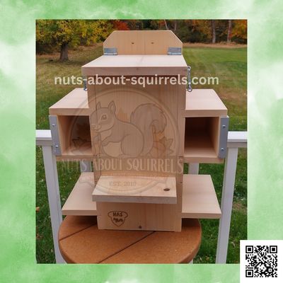 Wildlife Rehab-Approved Multi Porch Squirrel Nest Box with Wireless Camera