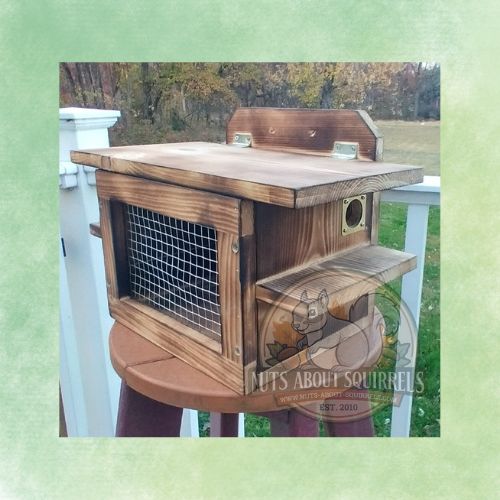 Covered Flying Squirrel Feeder:FSC Scorched Pine