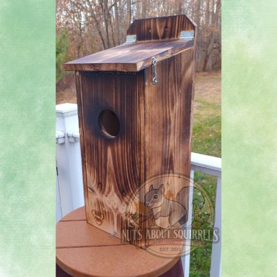 Screech Owl Nest Cam Box