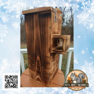 Wildlife Rehab-Approved Flying Squirrel Nest Box with Wireless Camera – Handmade Nesting Shelter with Real-Time Monitoring
