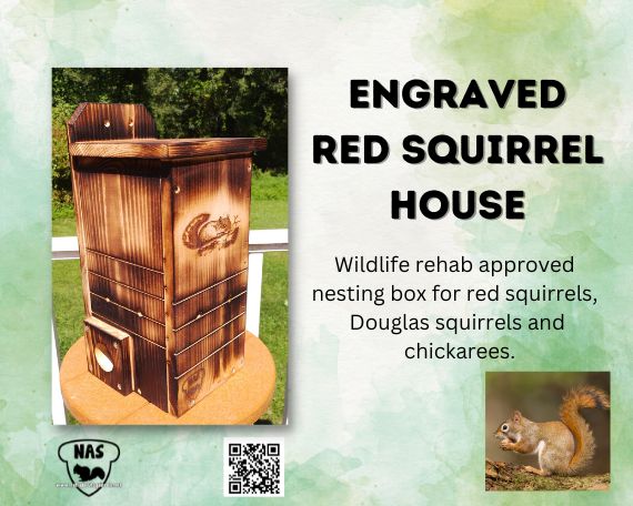 Engraved Red Squirrel Nest Box – Wildlife Rehab-Approved– Scorched Finish Outdoor Squirrel House for Red or Douglas Squirrels
