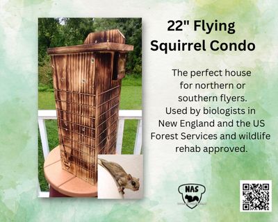 22" Wildlife Rehab‑Approved Flying Squirrel Condo – Scorched‑Wood Finish