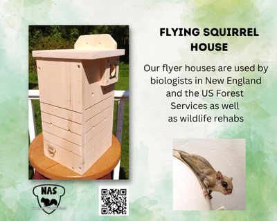 Flying Squirrel Nest Box Condo – Handmade Pine Shelter for Northern or Southern Flying Squirrels – Wildlife Rehab Approved