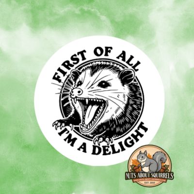 Sassy Opossum Sticker