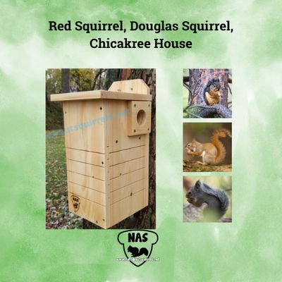 Wildlife Rehab Approved Red Squirrel Nest Box – FSC Pine Shelter with Predator Guard &amp; Easy Clean Door