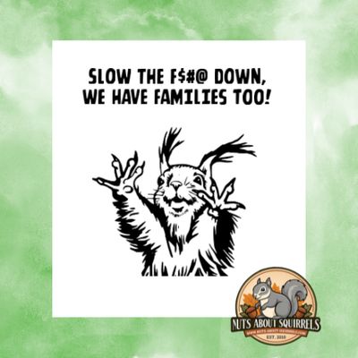 Squirrel Sticker-"Slow the $#@ Down, We Have Families Too"