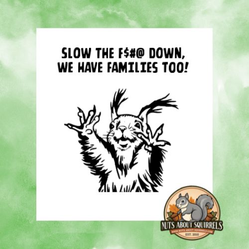 Squirrel Sticker-"Slow the $#@ Down, We Have Families Too"