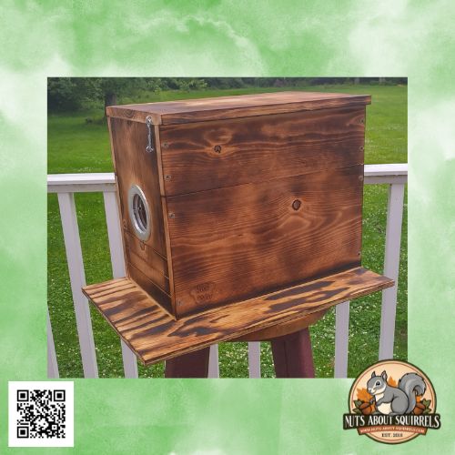 Release Cage XL Nest Box with Scorched Finish