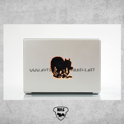 Vinyl Squirrel Decal, Vinyl Squirrel Decal