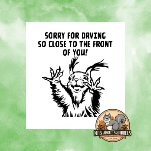 Sassy Squirrel Sticker – ‘Sorry for Driving So Close to the Front of You’ 3″ Water-Resistant Decal