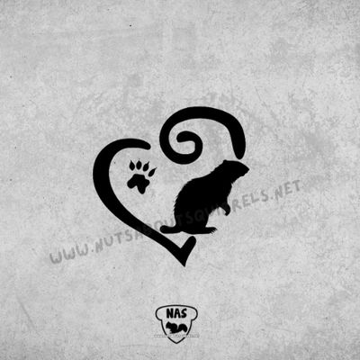 Vinyl Groundhog Decal