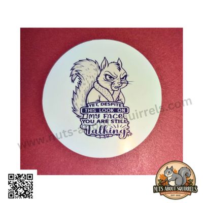 Funny Squirrel Sticker Bundle – Cranky Wildlife Humor Decals – Gift for Squirrel Lovers – Glossy Vinyl Stickers