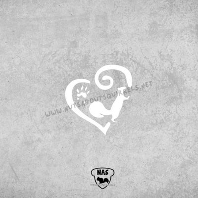 Vinyl Squirrel Decal