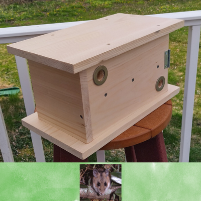 Other Nesting Boxes