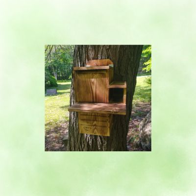 Nest Box Cams &amp; Camera Ready Boxes