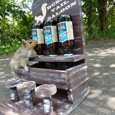 Bushy Tail Saloon Squirrel Feeder – Funny Western-Themed Recycled Bottle Feeder for Backyard Squirrels