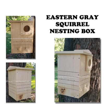 Squirrel Nesting Box