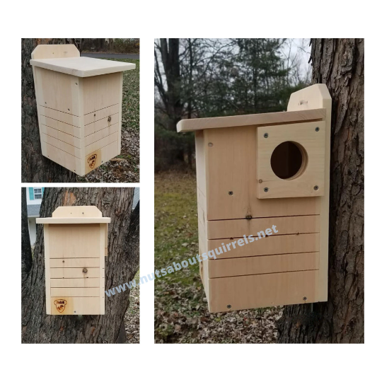 Squirrel Nest Box – Basic FSC Pine Squirrel Shelter –Now Customized for Your Species of Squirrel
