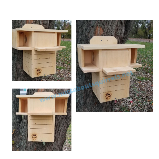Squirrel Nest Box – Dual Entrance Condo with Front Porch –Customized for your Species of Squirrels