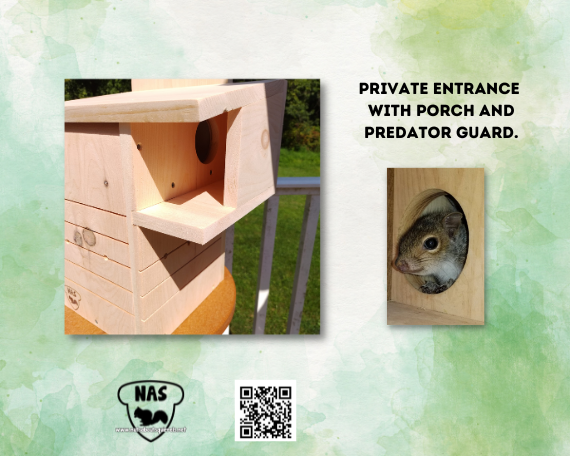 Wildlife Rehab-Approved Nest Box for Gray Squirrels, Fox Squirrels-Predator Guard & Side Porch
