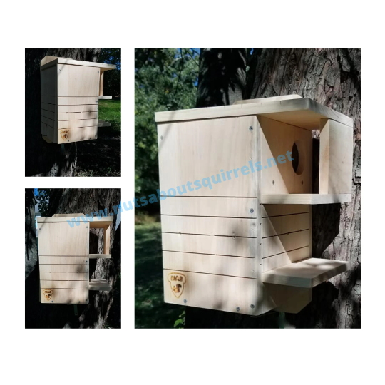 Wildlife Rehab‑Approved Scorched-Finish Squirrel Nesting Box with Two Porches