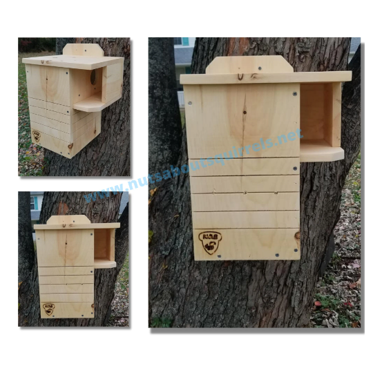 Wildlife Rehab‑Approved Squirrel Nesting Box with Covered Porch