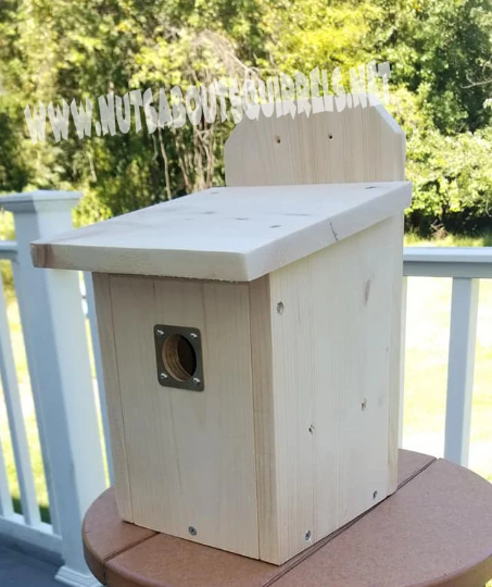 Bluebird House Bluebird House