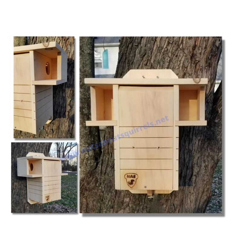 Wildlife‑Rehab Approved Dual‑Entrance Squirrel Nesting Box – Gray &amp; Fox Squirrels, Predator Guards