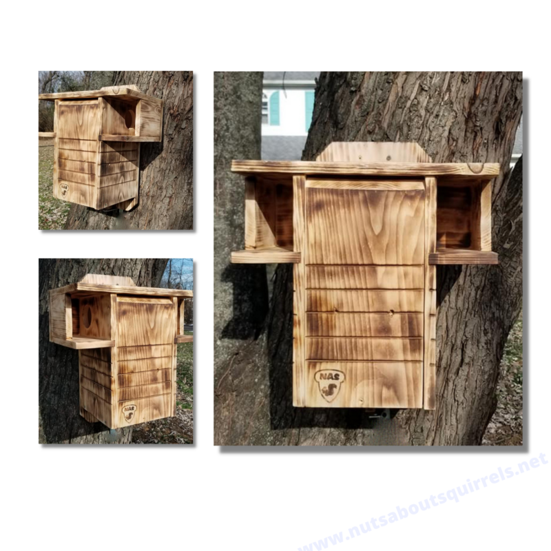Wildlife Rehab‑Approved Scorched-Finish Squirrel Nest Box | Dual Entrances &amp; Porches