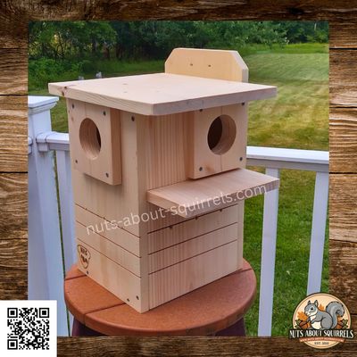 Dual-Entrance Squirrel Nest Box – Rehab Approved for Flying Squirrels, Red Squirrels, Fox Squirrels and Gray Squirrels–Side Porch–Interior Predator Guard-Easy Clean-Out Dual-Entrance Squirrel Nest Box – Rehab Approved for Flying Squirrels, Red Squirrels, Fox Squirrels and Gray Squirrels–Side Porch–Interior Predator Guard-Easy Clean-Out