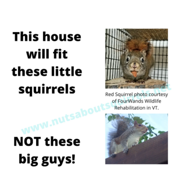 Red Squirrel Nest Box – Wildlife Rehab-Approved Condo for Red or Douglas Squirrels | Handmade Outdoor Squirrel House