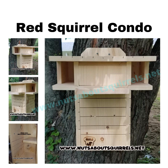 Red Squirrel Nest Box – Wildlife Rehab-Approved Condo for Red or Douglas Squirrels | Handmade Outdoor Squirrel House Red Squirrel Nest Box – Wildlife Rehab-Approved Condo for Red or Douglas Squirrels | Handmade Outdoor Squirrel House