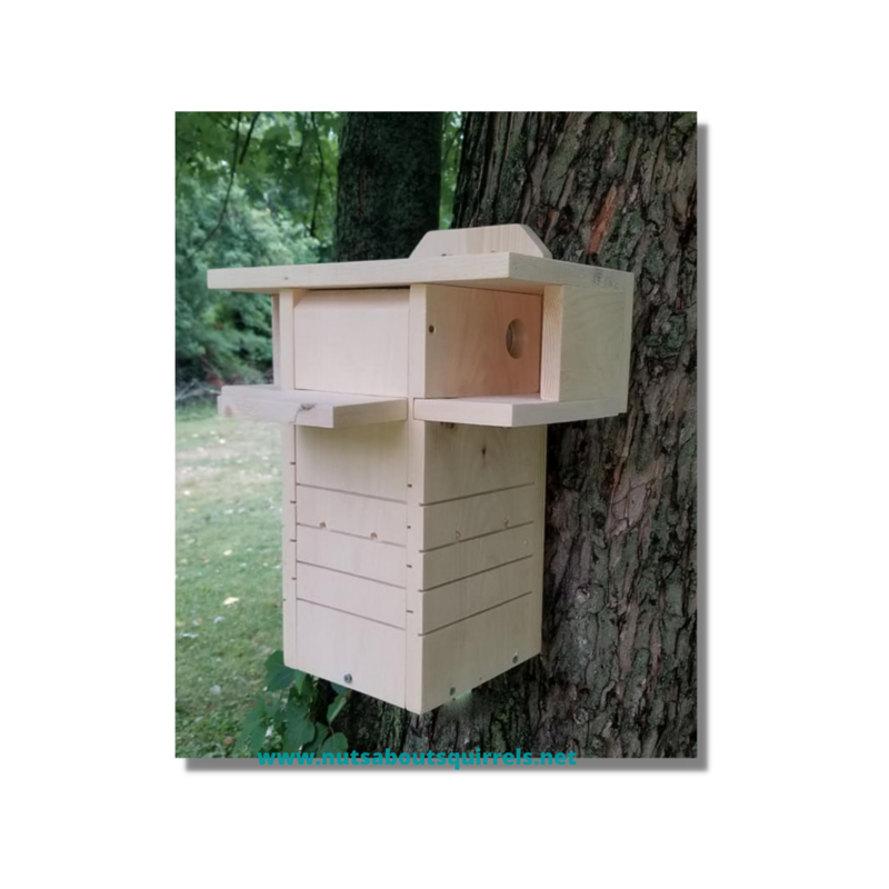 Flying Squirrel Nest Box – Flyer Condo – Wildlife Rehab-Approved Shelter for Northern or Southern Flying Squirrels Flying Squirrel Nest Box – Flyer Condo – Wildlife Rehab-Approved Shelter for Northern or Southern Flying Squirrels