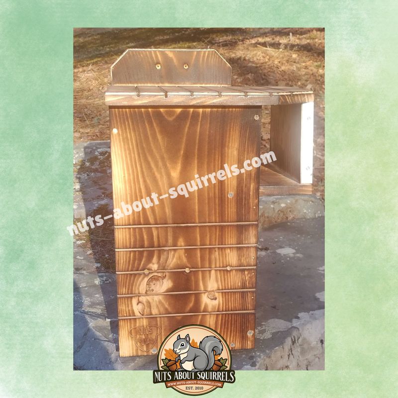 Squirrel Nesting Box – Predator-Resistant Entrance – Rehab Approved for Fox Squirrels and Gray Squirrels