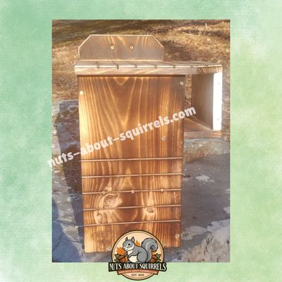 Squirrel Nesting Box – Predator-Resistant Entrance – Rehab Approved for Fox Squirrels and Gray Squirrels