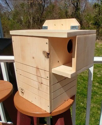 DIY Squirrel Nesting Box Kit