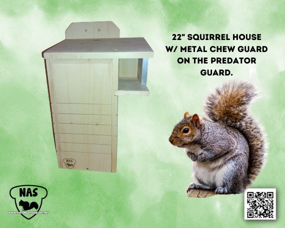 Squirrel Nesting Box – Handmade Wildlife Shelter for Gray Squirrels – Predator-Safe, Rehabber Approved