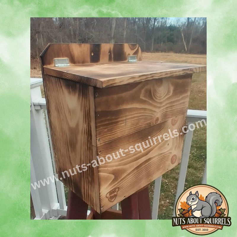 Raccoon Nesting Box – Handmade Outdoor Shelter for Wildlife Rehab or Backyard Habitat