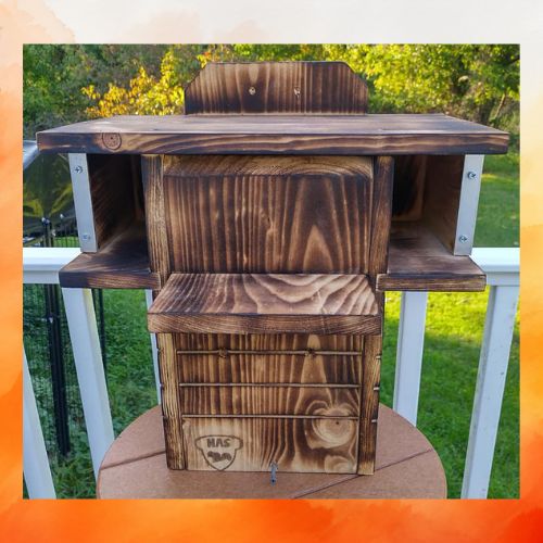 Gray Squirrel Nest Box – Dual Entrance FSC Pine Condo with Front Porch – Handmade Wildlife House for Squirrels Gray Squirrel Nest Box – Dual Entrance FSC Pine Condo with Front Porch – Handmade Wildlife House for Squirrels