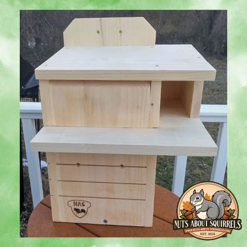 Squirrel Nesting Box with Wrap-Around Side Porch – Handmade Gray Squirrel Shelter – Rehabber-Approved