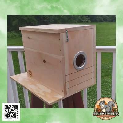 Release Cage XL Nest Box