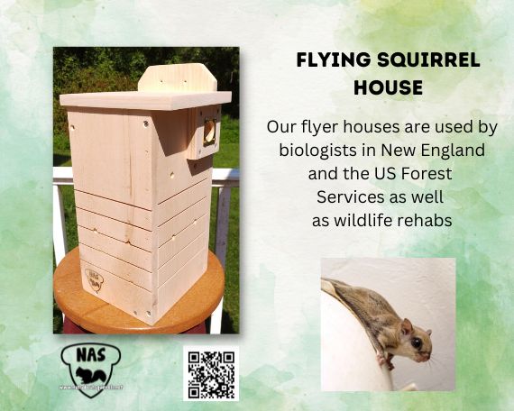 Flying Squirrel Nest Box Condo –Buy Three Get the Fourth Free- Handmade Pine Shelter for Northern or Southern Flying Squirrels