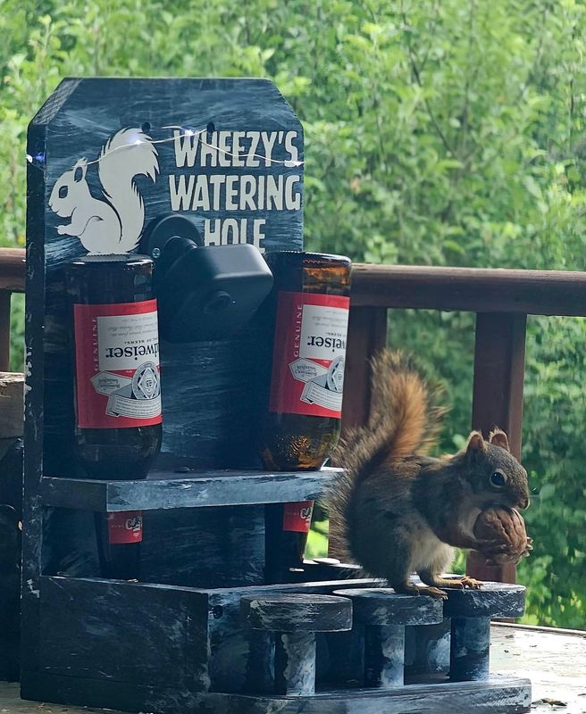 Personalized Squirrel Saloon Feeder with Camera Personalized Squirrel Saloon Feeder with Camera