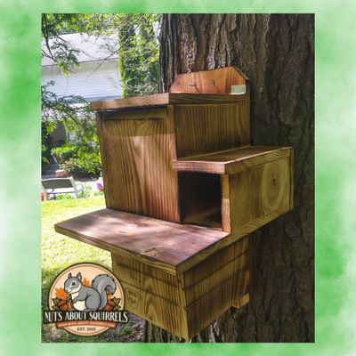 Wildlife Rehab-Approved Squirrel Nest Box with Wireless Camera Sync Module NOT Included