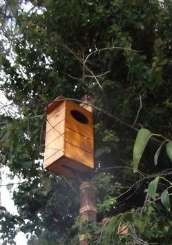 Raccoon Nesting Box – Handmade Outdoor Shelter for Wildlife Rehab or Backyard Habitat