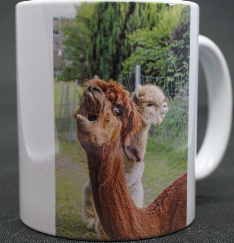 Foto Tasse Rasputin und Djego